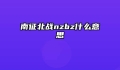 南征北战nzbz什么意思