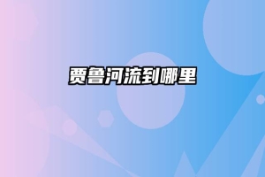 贾鲁河流到哪里