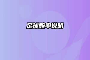 足球赔率说明