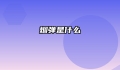 烟弹是什么