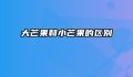 大芒果和小芒果的区别