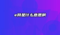 e网是什么意思啊