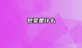 包菜是什么