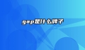 gap是什么牌子