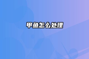 甲鱼怎么处理