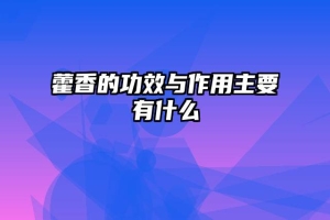 藿香的功效与作用主要有什么