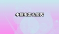 小蠓虫怎么消灭