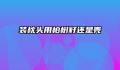 装枕头用柏树籽还是壳