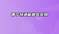 哪个快递能邮寄宠物