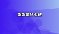 发发是什么梗