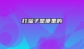 打溜子是哪里的