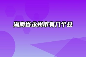 湖南省永州市有几个县