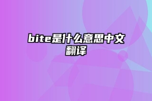 bite是什么意思中文翻译
