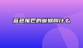 蓝色尾巴的蜥蜴叫什么
