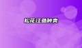 松花江鱼种类