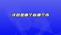 洋县是哪个省哪个市