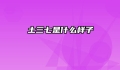 土三七是什么样子