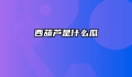 西葫芦是什么瓜