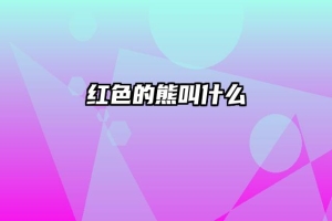 红色的熊叫什么