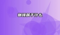 咖啡属于什么