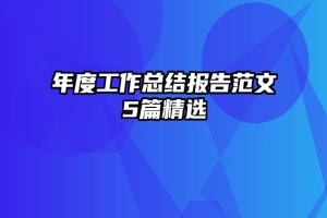 年度工作总结报告范文5篇精选