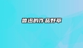 鲁迅的作品野草