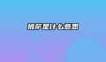 披萨是什么意思