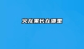 火龙果长在哪里
