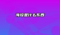 海珍是什么东西