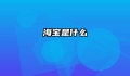 海宝是什么