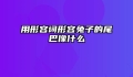 用形容词形容兔子的尾巴像什么