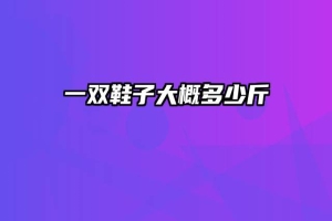 一双鞋子大概多少斤