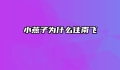 小燕子为什么往南飞