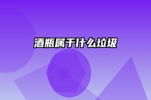 酒瓶属于什么垃圾