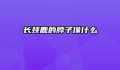 长颈鹿的脖子像什么