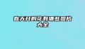 春天开的花有哪些图片大全