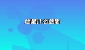 燃是什么意思