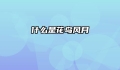 什么是花鸟风月
