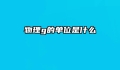 物理g的单位是什么