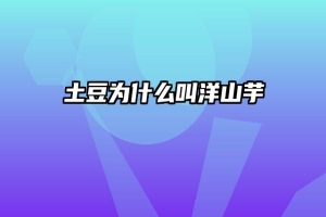 土豆为什么叫洋山芋