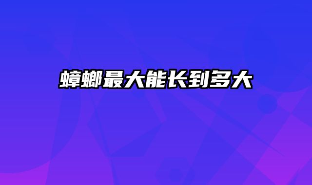 蟑螂最大能长到多大