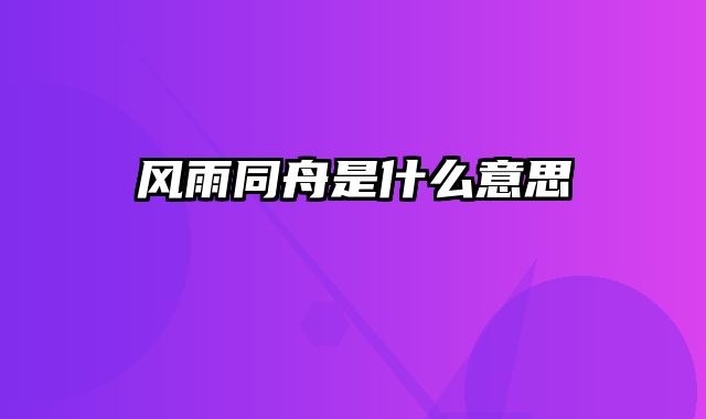 风雨同舟是什么意思