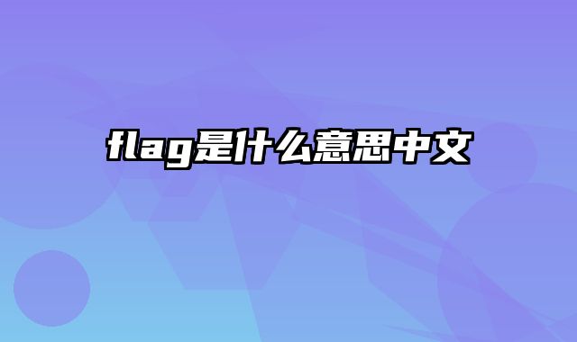 flag是什么意思中文