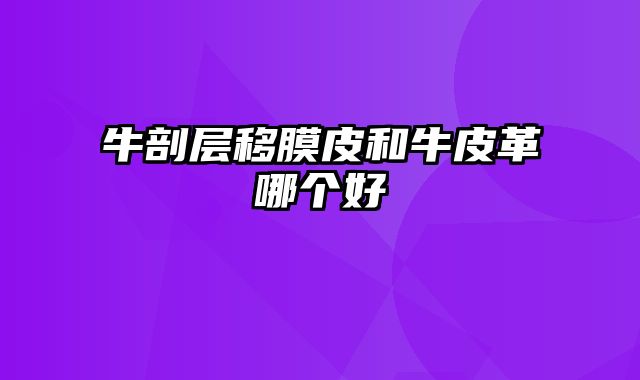 牛剖层移膜皮和牛皮革哪个好