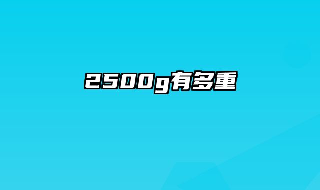 2500g有多重