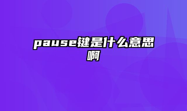 pause键是什么意思啊