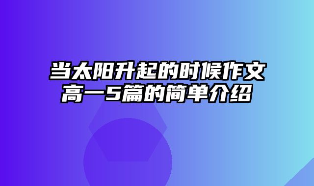 当太阳升起的时候作文高一5篇的简单介绍