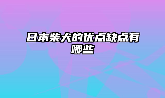 日本柴犬的优点缺点有哪些