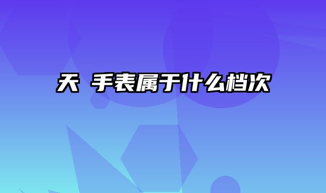 天珺手表属于什么档次