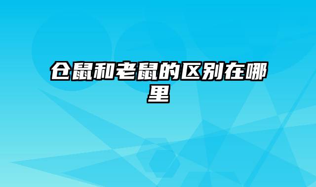 仓鼠和老鼠的区别在哪里